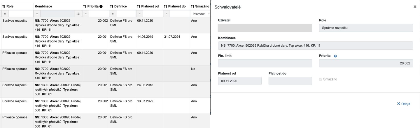 An anonymised FS responsibility list and assignment detail