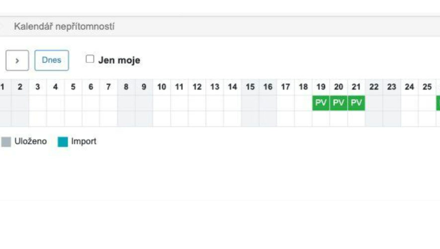 An anonymised team absence calendar